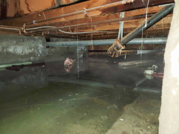 Best Water damage restoration near me  in Graymoor Devondale, KY