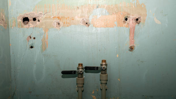 Best Water damage restoration services  in Graymoor Devondale, KY