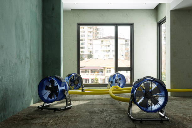 Best Water damage restoration company  in Graymoor Devondale, KY